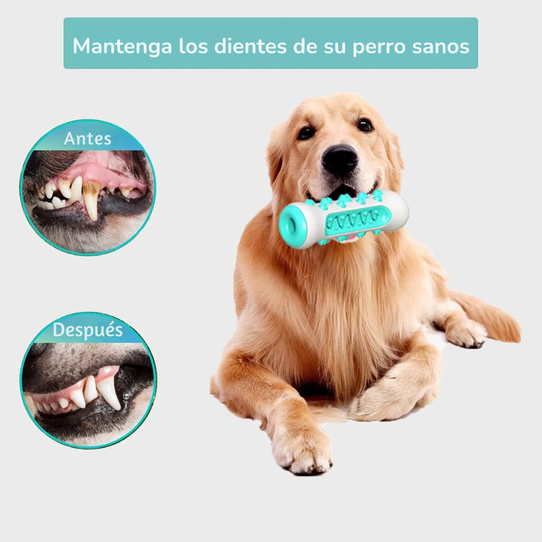 Juguete para Limpiar los Dientes del Perro